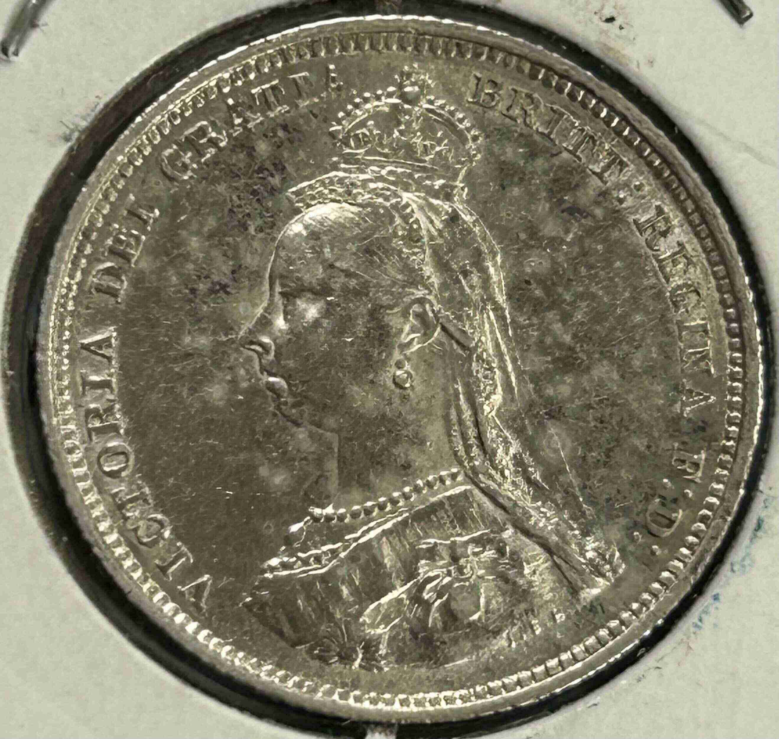 Spotted-Shilling---To-Dip-Or-Not-To-Dip?